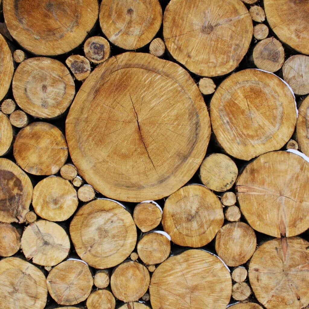 Fertighaus-WEISS-Holz