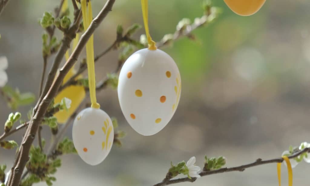 WEISS-Musterhäuser an Ostern geöffnet